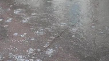 bir su birikintisi kabarcıkları ile düşen yağmur damlaları