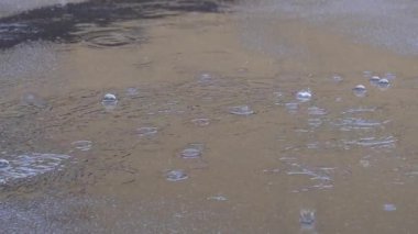 bir su birikintisi kabarcıkları ile düşen yağmur damlaları