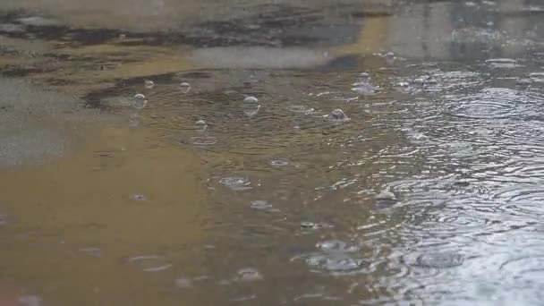 Gouttes Pluie Tombant Avec Des Bulles Dans Une Flaque Eau — Video