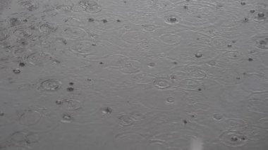 bir su birikintisi kabarcıkları ile düşen yağmur damlaları