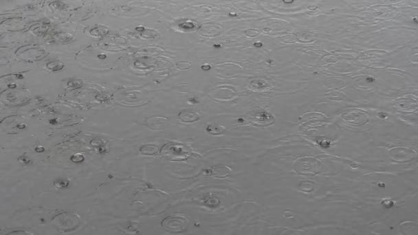 Gotas Chuva Caindo Com Bolhas Uma Poça — Vídeo de Stock