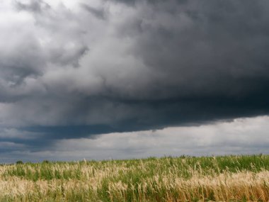 Göller üzerinde fırtına bulutlar sazlık ile
