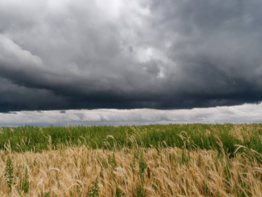 Göller üzerinde fırtına bulutlar sazlık ile