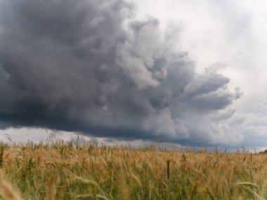 Göller üzerinde fırtına bulutlar sazlık ile