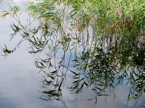 bir balıkçı çubuğu gölet mükemmel spot.