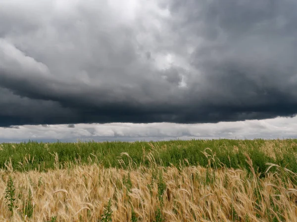 Göller üzerinde fırtına bulutlar sazlık ile