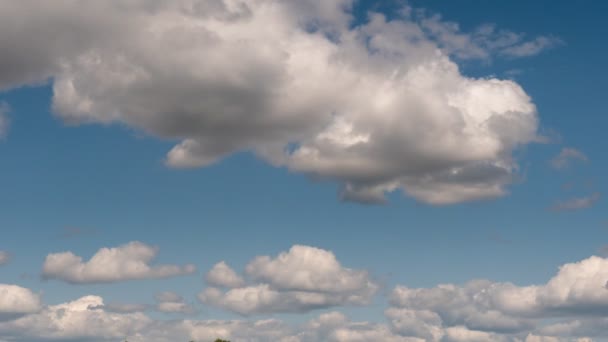 Gomel Belarus Nuvole Galleggiano Sul Lago Sera — Video Stock