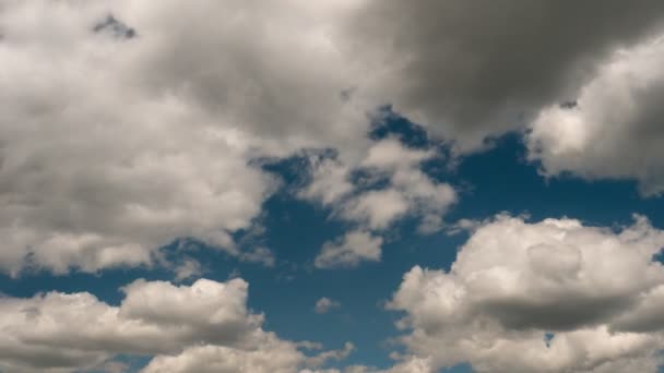 Gomel Bélarus Soir Des Nuages Flottent Sur Lac — Video