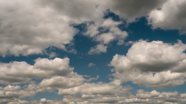 Gomel Belarus Nuvole Galleggiano Sul Lago Sera — Video Stock