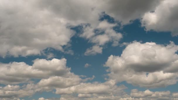 Gomel Bélarus Soir Des Nuages Flottent Sur Lac — Video