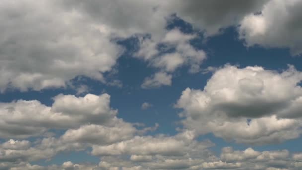 Gomel Wit Rusland Wolken Zweven Het Meer Avond — Stockvideo