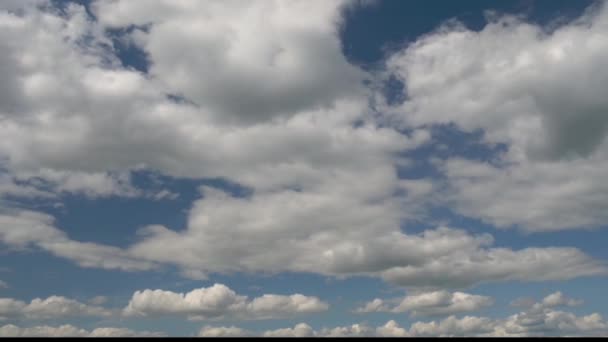 Gomel Belarus Bulutlar Akşamları Gölde Yüzen — Stok video