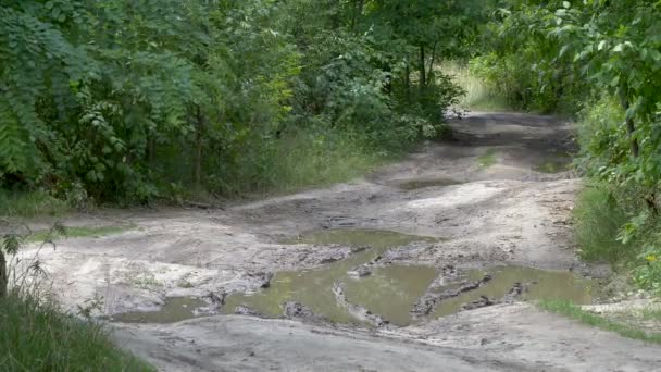 Špinavou Venkovská Silnice Loužemi Večer — Stock video