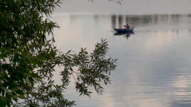 Mann Auf Dem Ruderboot Schwimmt Auf Dem See — Stockvideo
