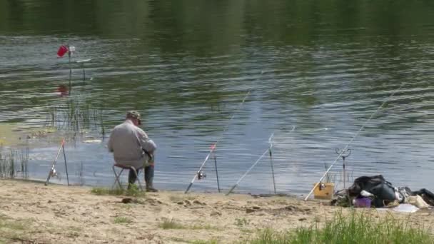 Αλιείς Αλιεύουν Ψάρια Στον Ποταμό Καλάμια Ψαρέματος Και — Αρχείο Βίντεο