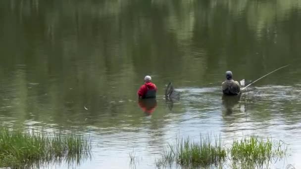 Αλιείς Αλιεύουν Ψάρια Στον Ποταμό Καλάμια Ψαρέματος Και — Αρχείο Βίντεο