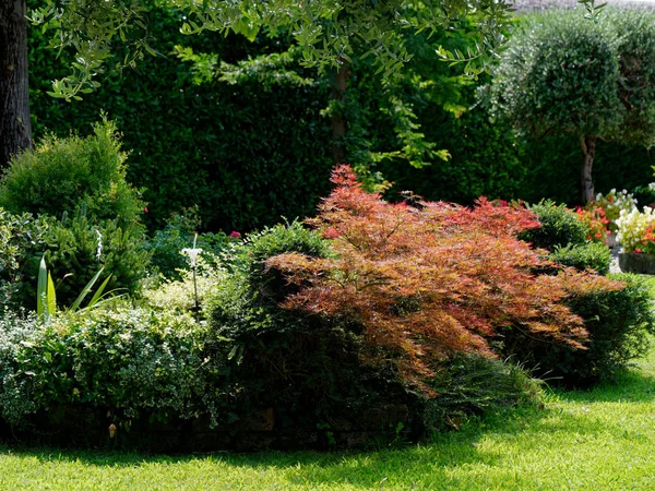 Casa moderna com belo jardim paisagístico, gramado e jardim — Fotografia de Stock