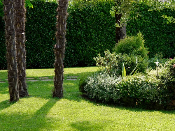 Casa moderna com belo jardim paisagístico, gramado e jardim — Fotografia de Stock