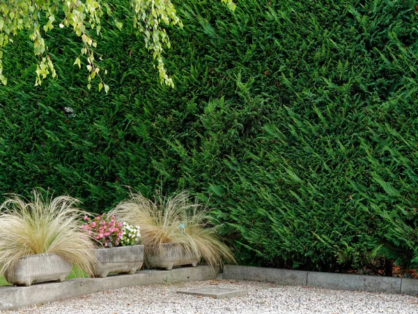美しい美しいフロントヤード、芝生、庭園のあるモダンな家 — ストック写真