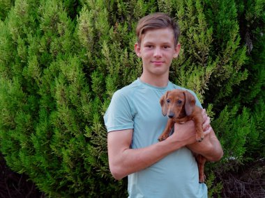 çocuk güzel bir kırmızı dachshund tutar