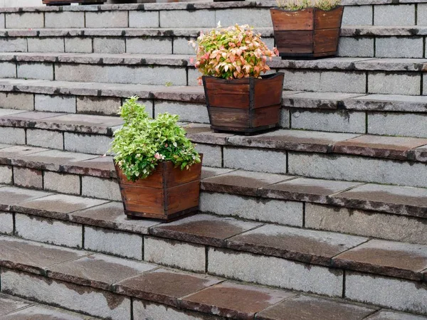 Fiori in vaso su gradini di granito. arredamento della città — Foto Stock