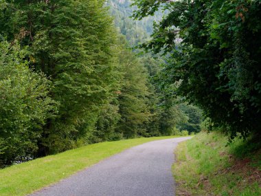 yürüyüş ve koşu için akşam orman yolu