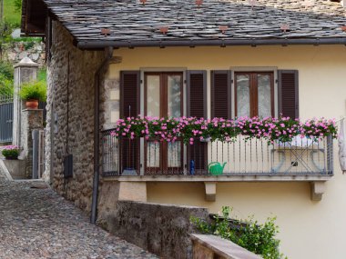 bir İtalyan evin duvarında yeşillik ile güzel pencere