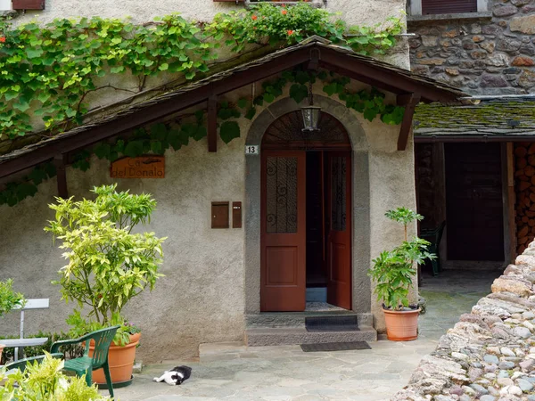 Vid en la pared de una casa italiana —  Fotos de Stock