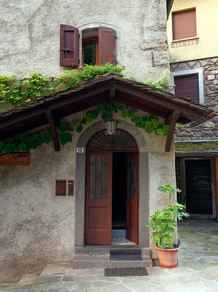 Vid en la pared de una casa italiana —  Fotos de Stock