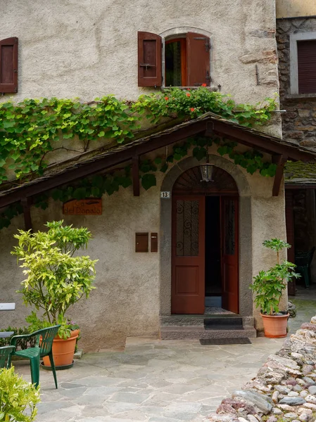 Vid en la pared de una casa italiana —  Fotos de Stock