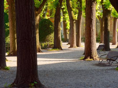Mantova şehrinde bir kalede yeşil park, İtalya