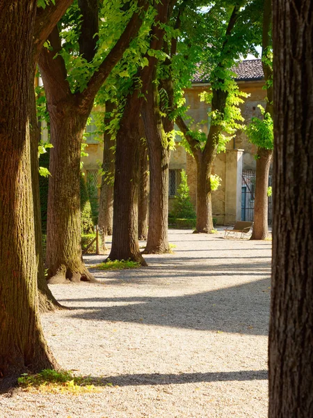 Green park in a castle in the city of Mantova, Italy — 图库照片