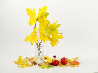 Sarı sonbahar yaprakları beyaz arka planda hala hayat var