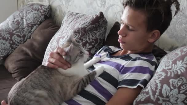Adolescente juega con un hermoso rubio gato — Vídeo de stock