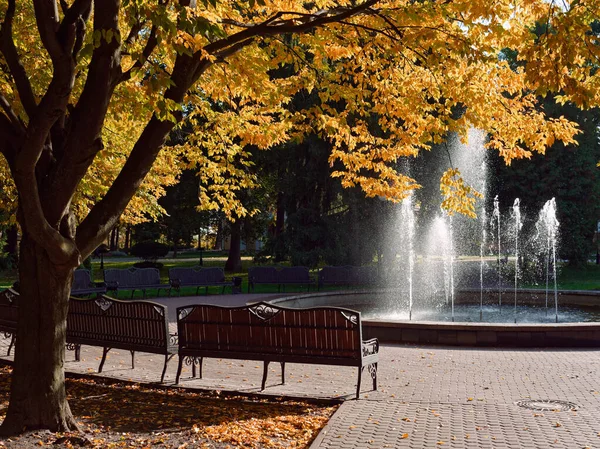 Fontaine au soleil du matin dans un parc de la ville. Gomel, Biélorussie — Photo