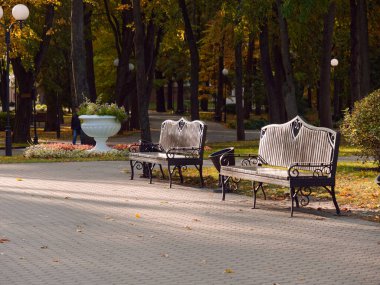 Şehir parkında sonbahar manzarası. Gomel, Belarus
