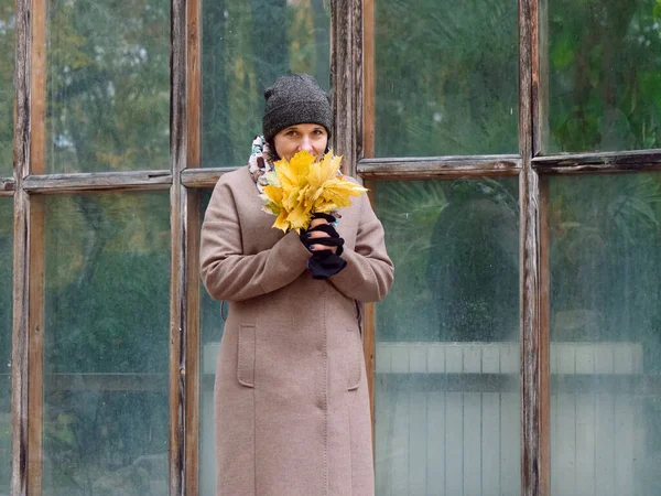 Hermosa mujer morena en otoño amarillo parque — Foto de Stock