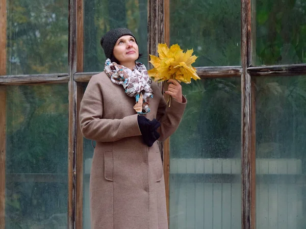 Hermosa mujer morena en otoño amarillo parque — Foto de Stock