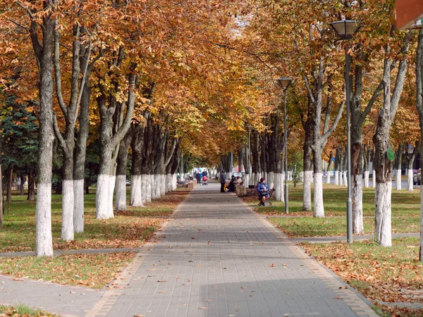 Gomel, Vitryssland - 5 oktober 2019: Square Avenue of Builders — Stockfoto