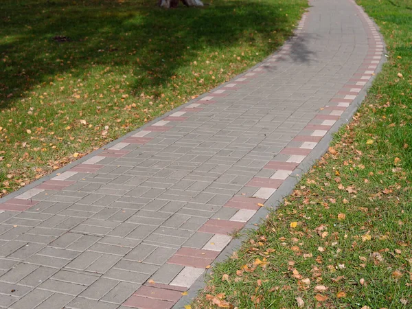 Осенние кленовые желтые листья на тротуаре — стоковое фото