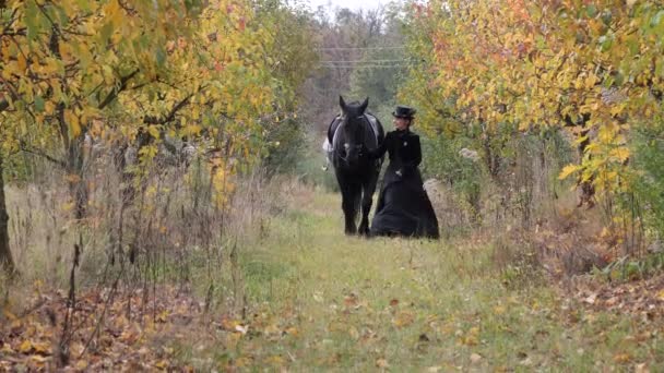 Cavallerizza Ragazza Abito Nero Conduce Cavallo Nero — Video Stock