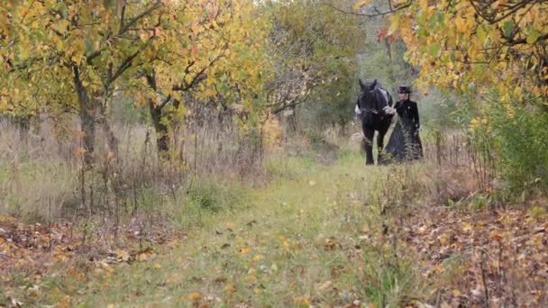 Reiterin Mädchen Schwarzen Kleid Führt Ein Schwarzes Pferd — Stockvideo