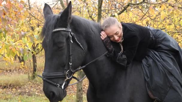 Chica Vestido Negro Con Caballo Negro Cerca — Vídeo de stock