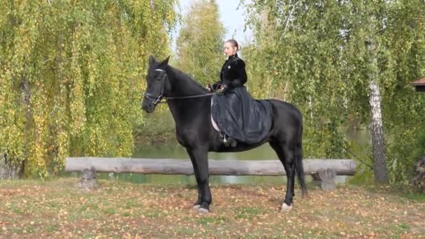 Dziewczyna Czarnej Sukience Czarnym Koniem Zbliżenie — Wideo stockowe