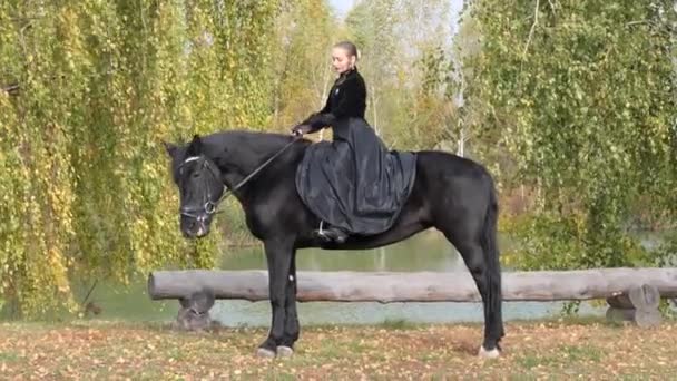 lány egy fekete ruha egy fekete ló közelkép