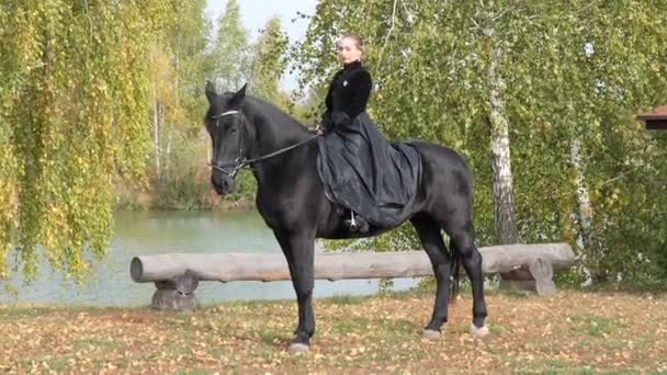 Menina Vestido Preto Com Cavalo Preto Close — Vídeo de Stock