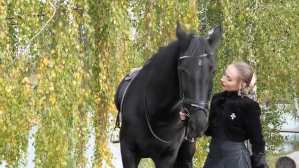 Chica Vestido Negro Con Caballo Negro Cerca — Vídeos de Stock