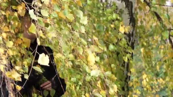 Girl in a black dress in the birch branches in autumn — Stock Video