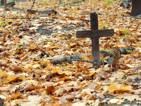 Vecchia croce di legno su una tomba in un cimitero in autunno — Foto Stock