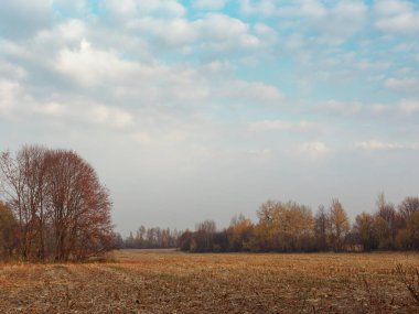 Kırsal alanda altın sonbahar tarım.